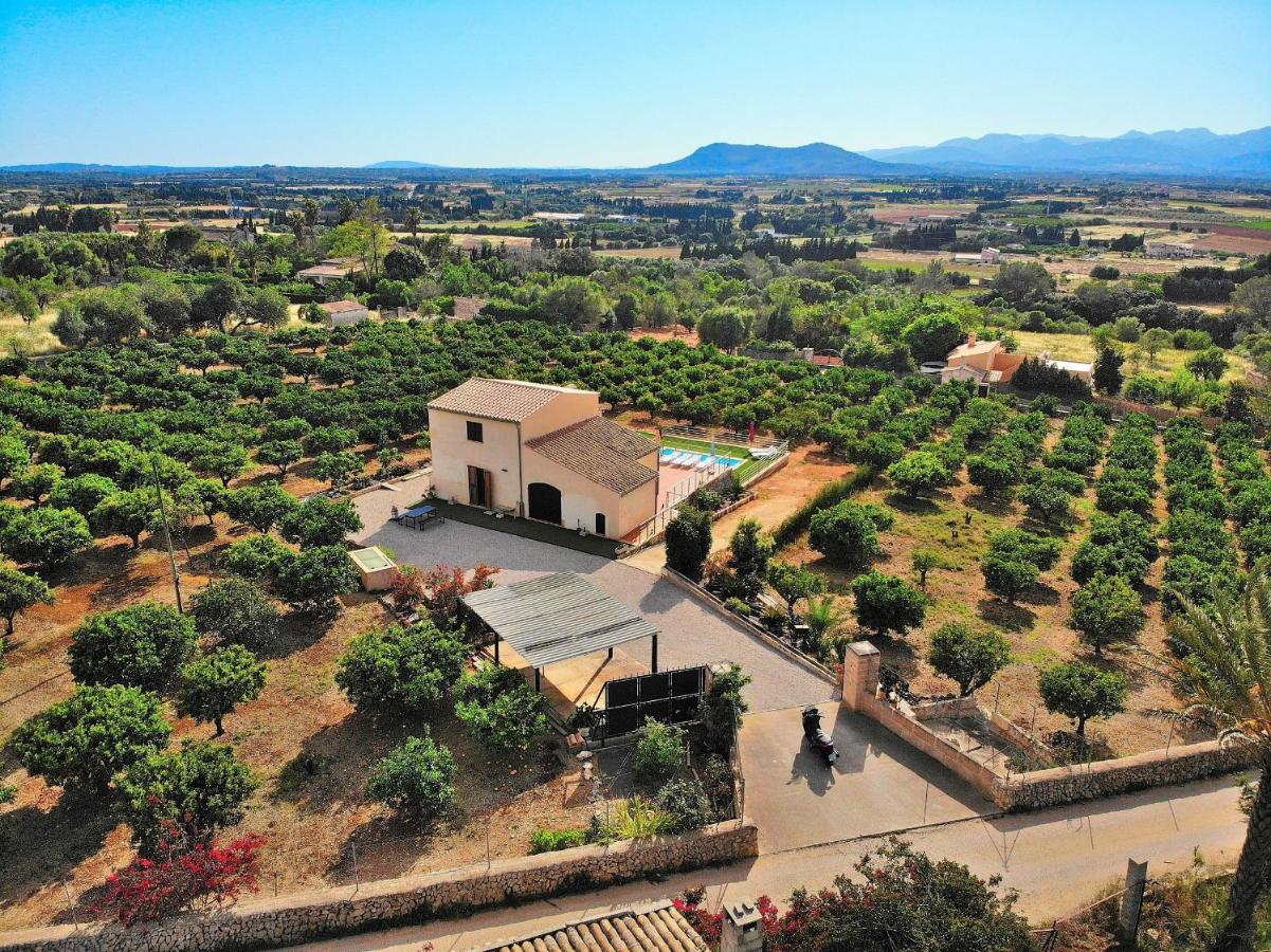 081 Finca Els Tarongers Etv5766 By Mallorca Charme Muro Eksteriør billede